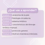 Drenaje Linfático Manual Corporal - Capacitación - Imagen 3