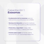 Formación Avanzada en Dermapen – Exosomas, Camuflaje e Hilos - Imagen 5
